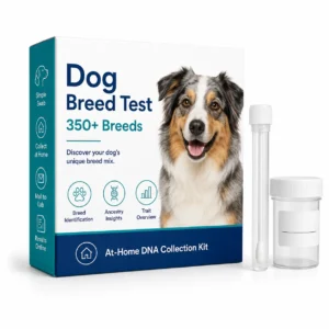 Dog Breed Test – 350+ breeds