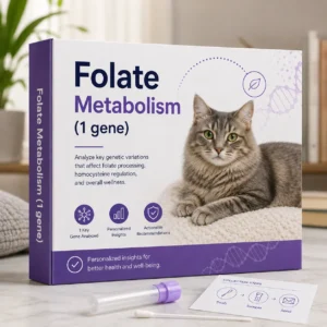 Folate Metabolism (1 gene)