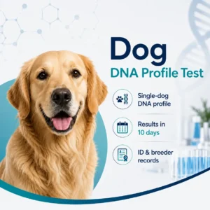 Dog DNA Profile Test