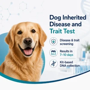 Dog Inherited Disease and Trait Test