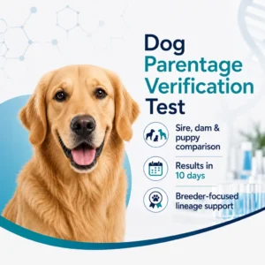Dog Parentage Verification Test